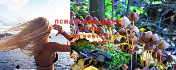 гидра Алексеевка