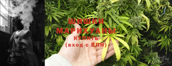 дурь Алзамай