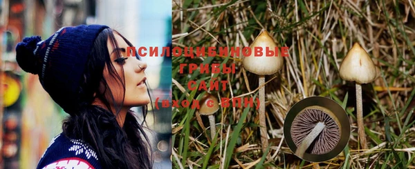 дурь Алзамай