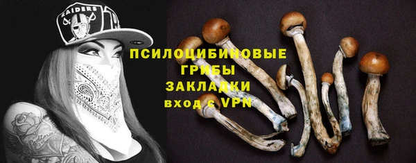 гидра Алексеевка