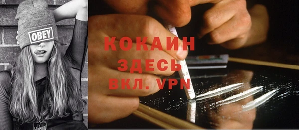индика Абинск